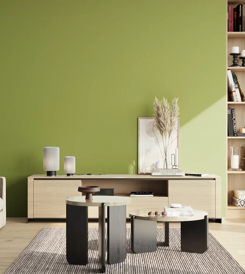 P10_SNIEZKA_salon_02_poludnie_GREY_S2050-G50Y