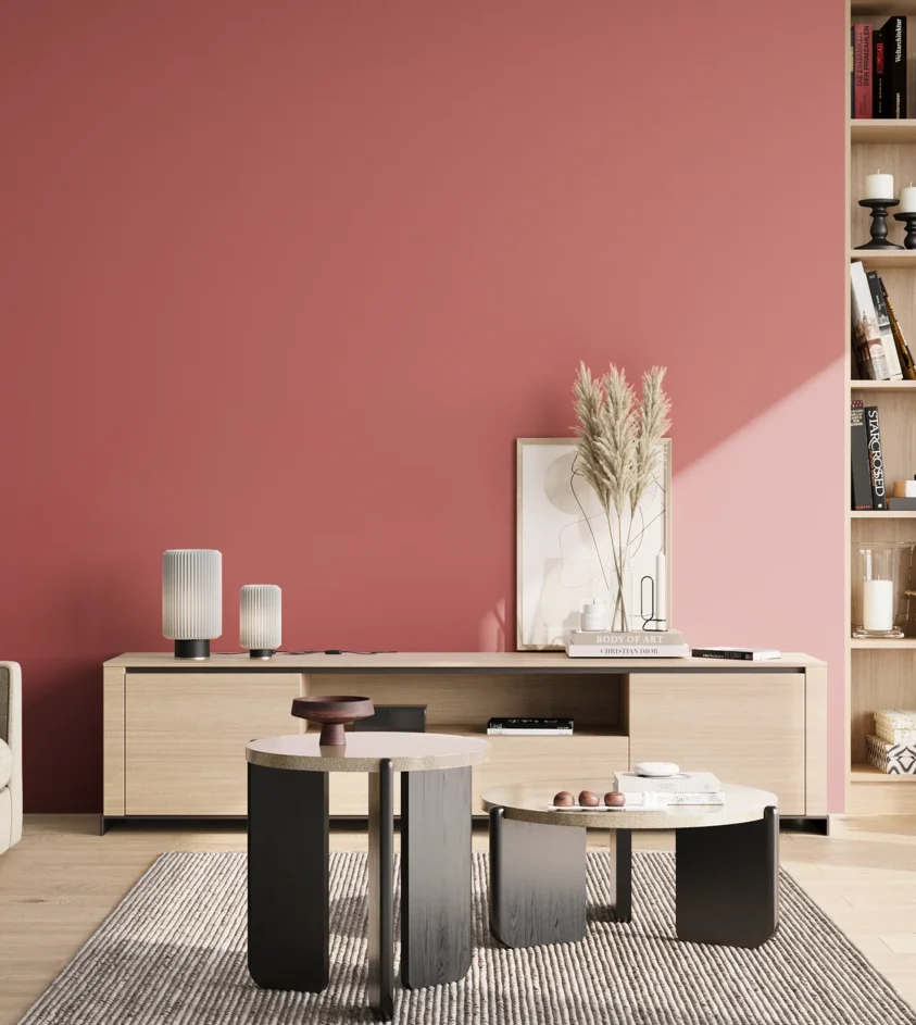 P10_SNIEZKA_salon_02_poludnie_GREY_S2050-R