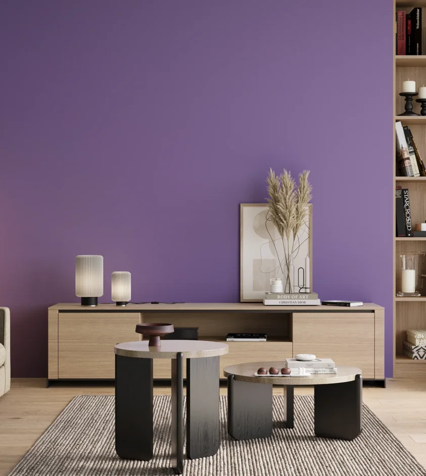 P10_SNIEZKA_salon_00_neutral_GREY_S2050-R60B