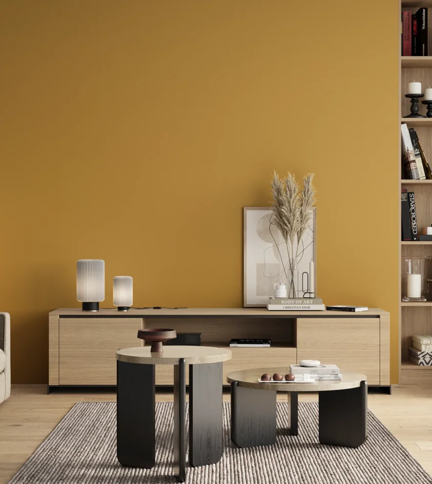 P10_SNIEZKA_salon_00_neutral_GREY_S2050-Y10R