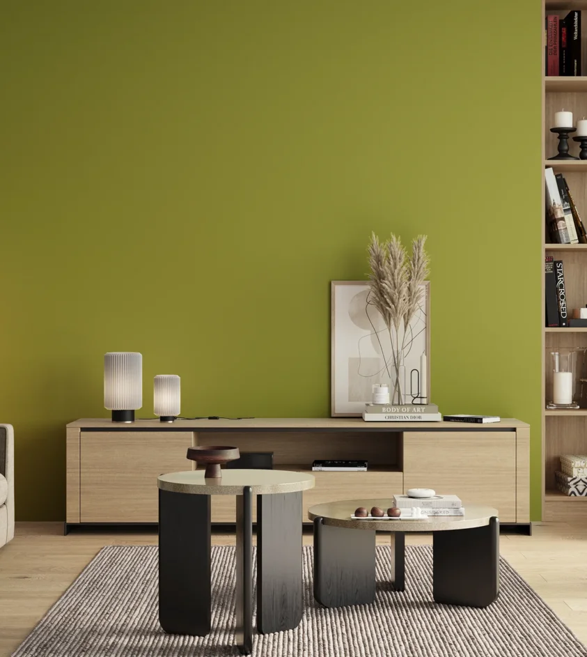 P10_SNIEZKA_salon_00_neutral_GREY_S2060-G60Y