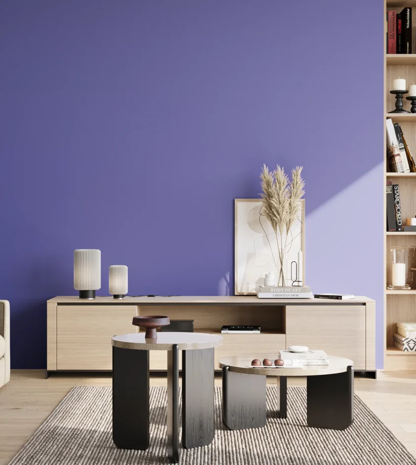 P10_SNIEZKA_salon_02_poludnie_GREY_S2060-R70B