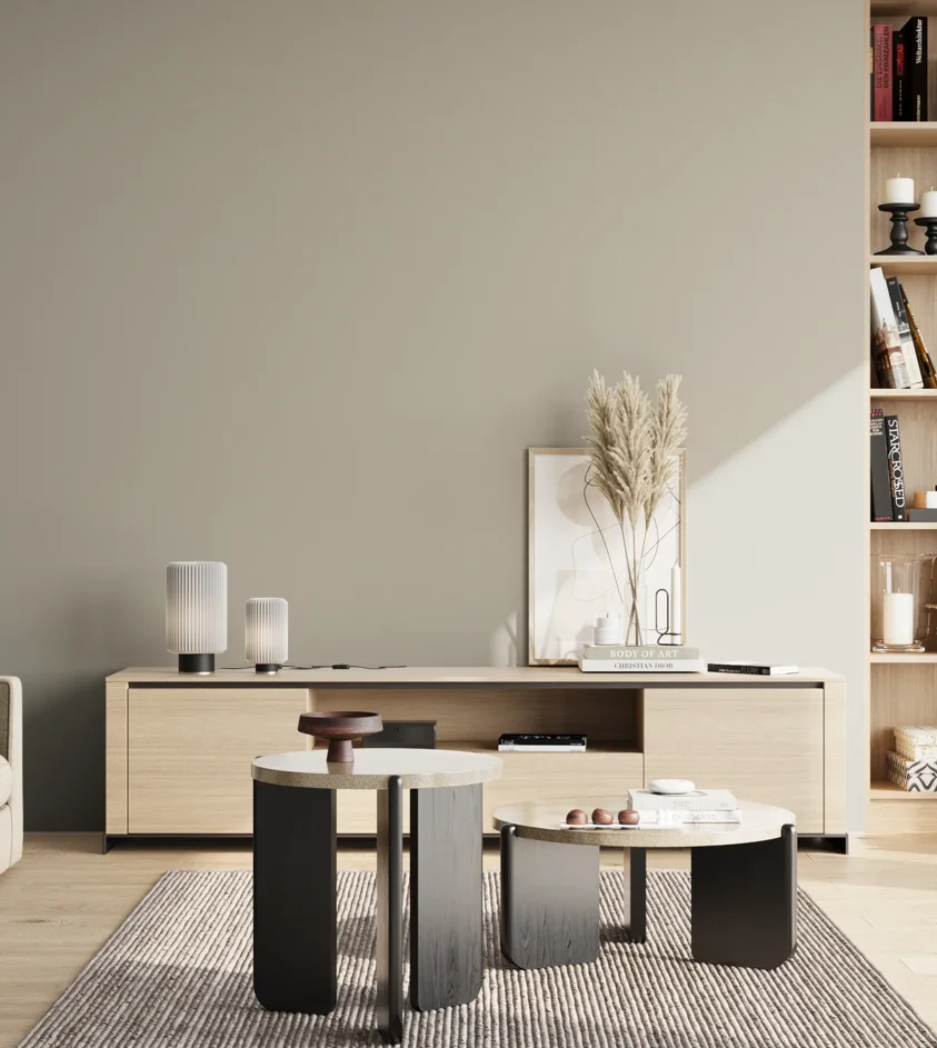 P10_SNIEZKA_salon_02_poludnie_GREY_S2502-Y