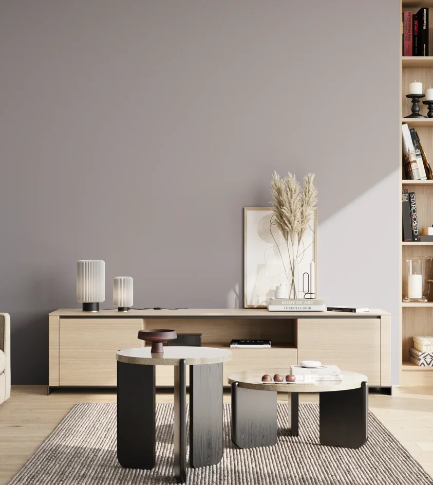 P10_SNIEZKA_salon_02_poludnie_GREY_S3005-R50B