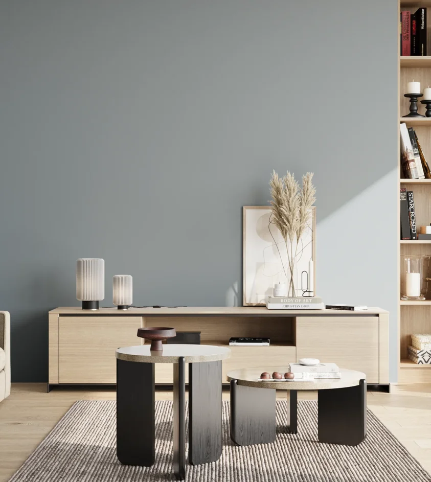 P10_SNIEZKA_salon_02_poludnie_GREY_S3010-B