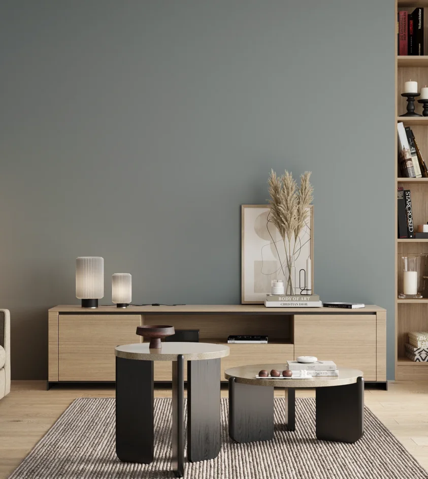 P10_SNIEZKA_salon_00_neutral_GREY_S3010-B10G
