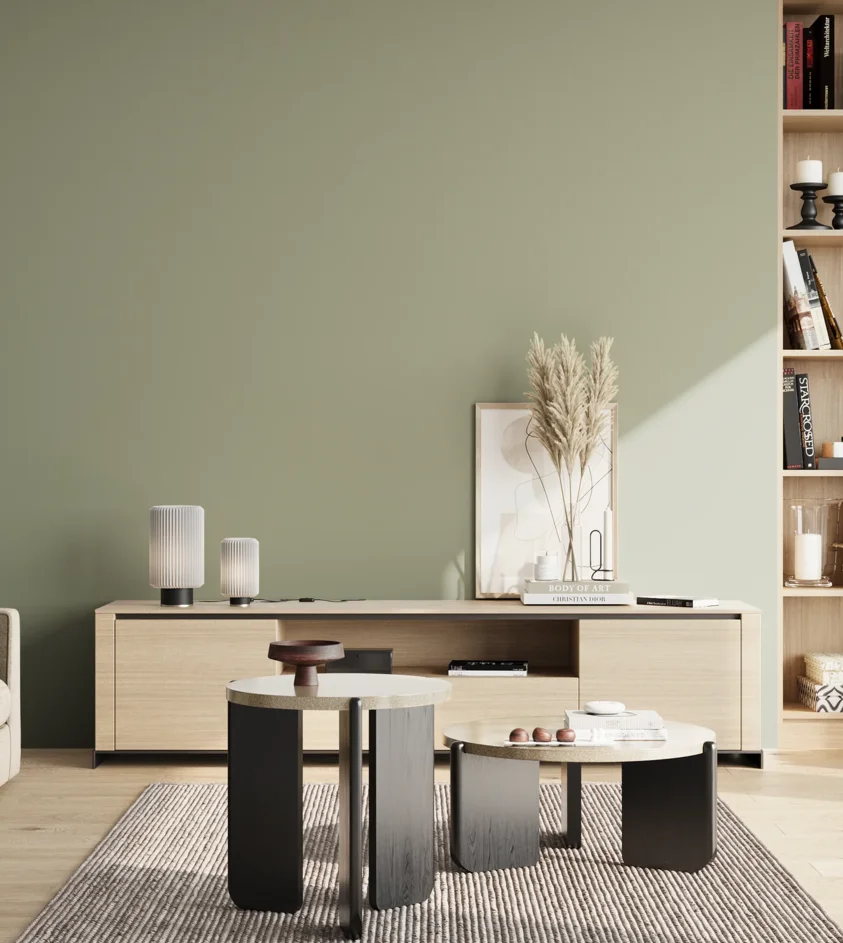 P10_SNIEZKA_salon_02_poludnie_GREY_S3010-G40Y