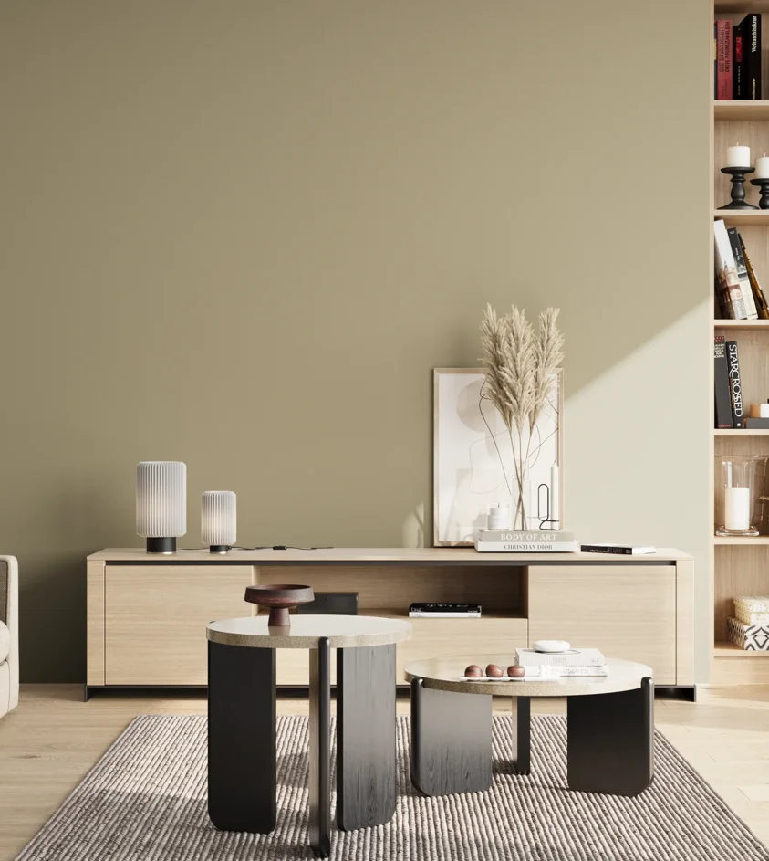 P10_SNIEZKA_salon_02_poludnie_GREY_S3010-G90Y