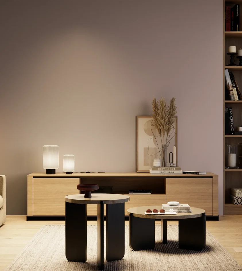 P10_SNIEZKA_salon_04_cieple_GREY_S3010-R20B