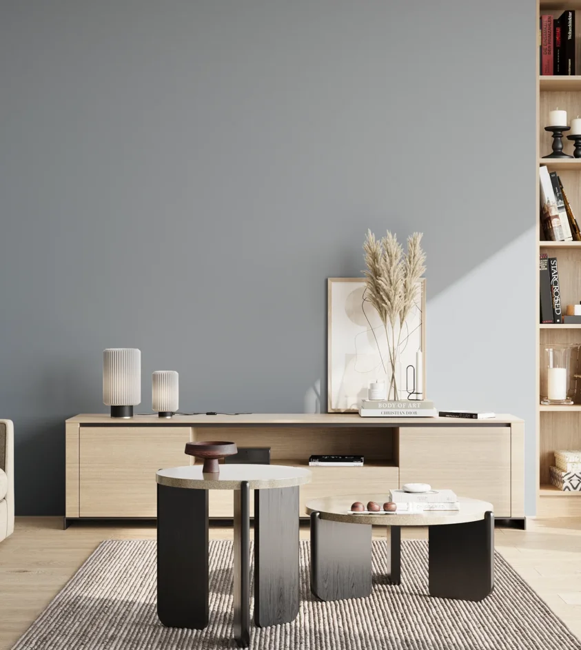 P10_SNIEZKA_salon_02_poludnie_GREY_S3010-R90B