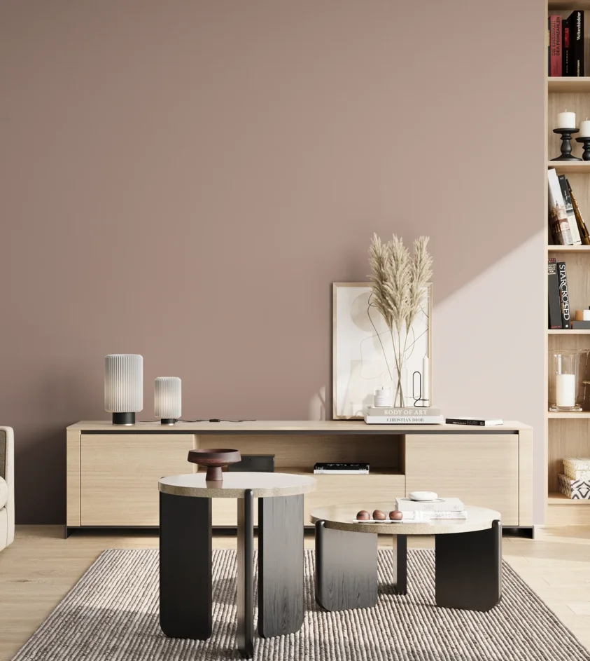 P10_SNIEZKA_salon_02_poludnie_GREY_S3010-Y90R