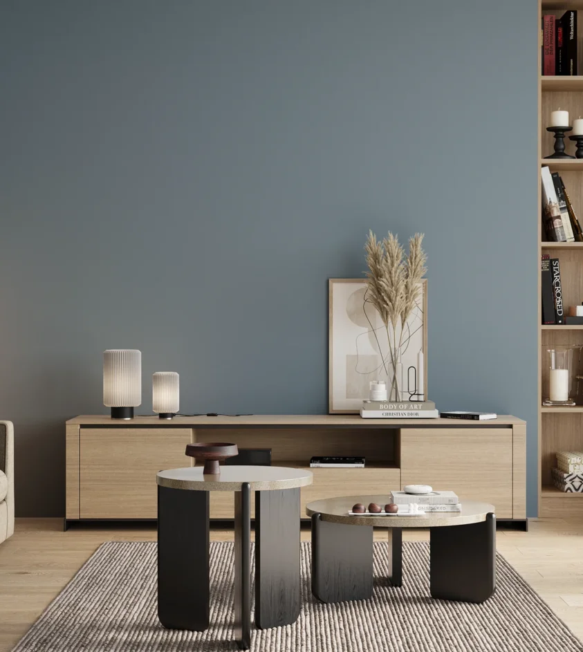 P10_SNIEZKA_salon_00_neutral_GREY_S3020-B
