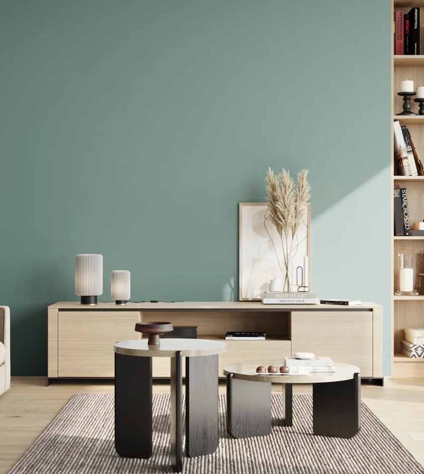 P10_SNIEZKA_salon_02_poludnie_GREY_S3020-B50G