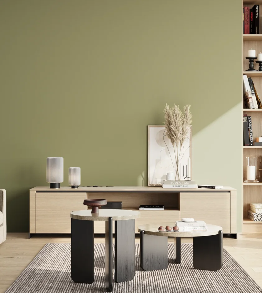 P10_SNIEZKA_salon_02_poludnie_GREY_S3020-G60Y