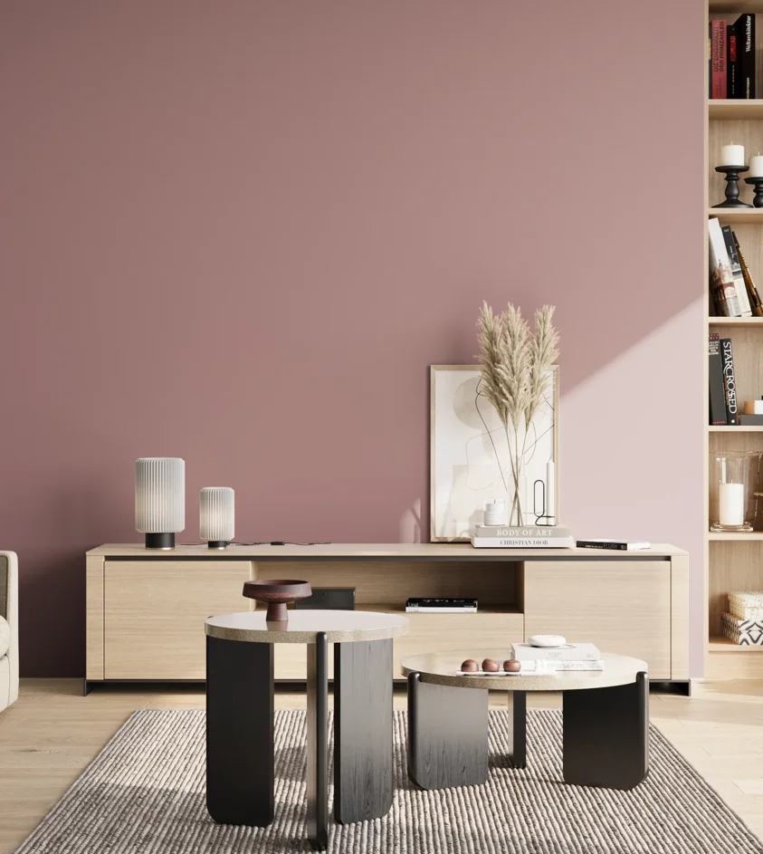 P10_SNIEZKA_salon_02_poludnie_GREY_S3020-R10B