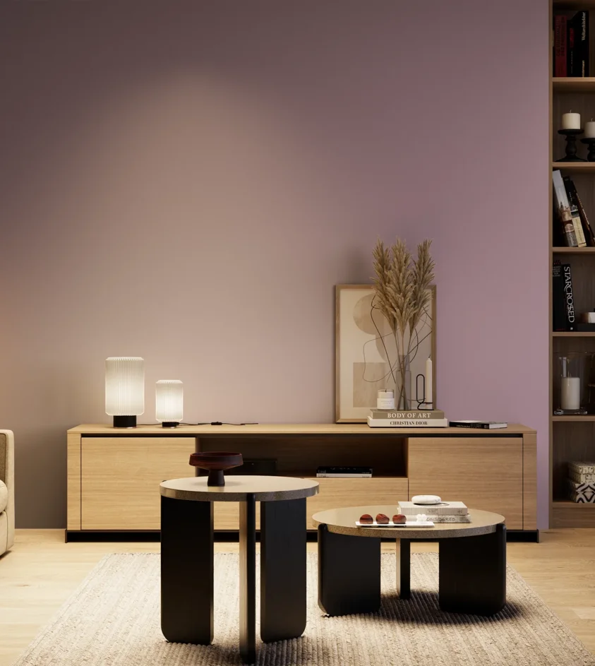 P10_SNIEZKA_salon_04_cieple_GREY_S3020-R40B