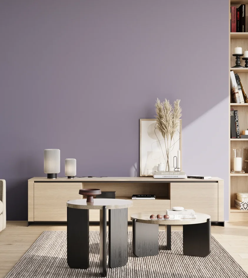 P10_SNIEZKA_salon_02_poludnie_GREY_S3020-R60B