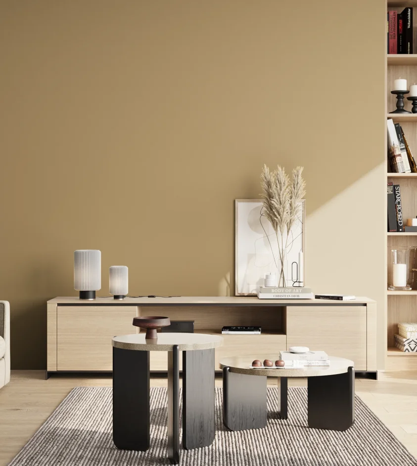 P10_SNIEZKA_salon_02_poludnie_GREY_S3020-Y10R