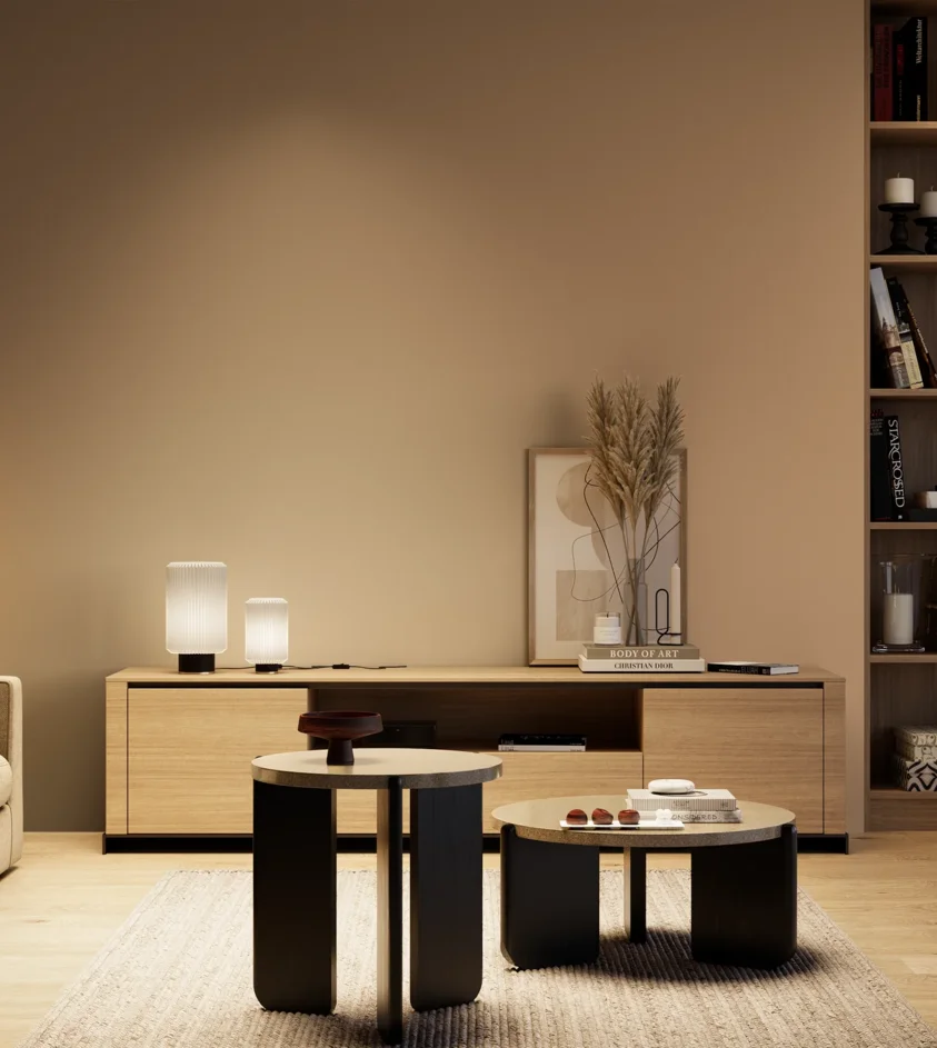 P10_SNIEZKA_salon_04_cieple_GREY_S3020-Y40R
