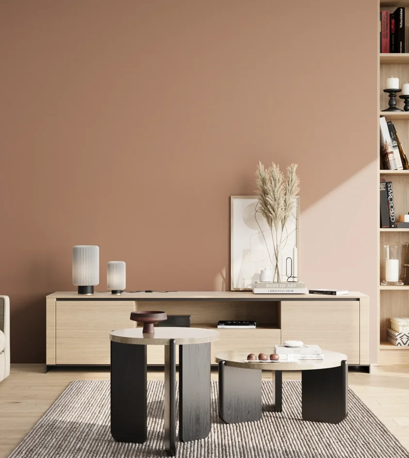 P10_SNIEZKA_salon_02_poludnie_GREY_S3020-Y60R