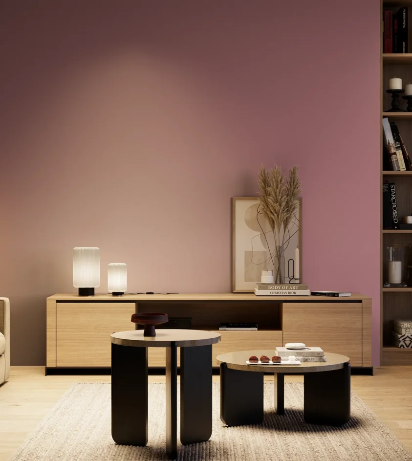 P10_SNIEZKA_salon_04_cieple_GREY_S3030-R20B
