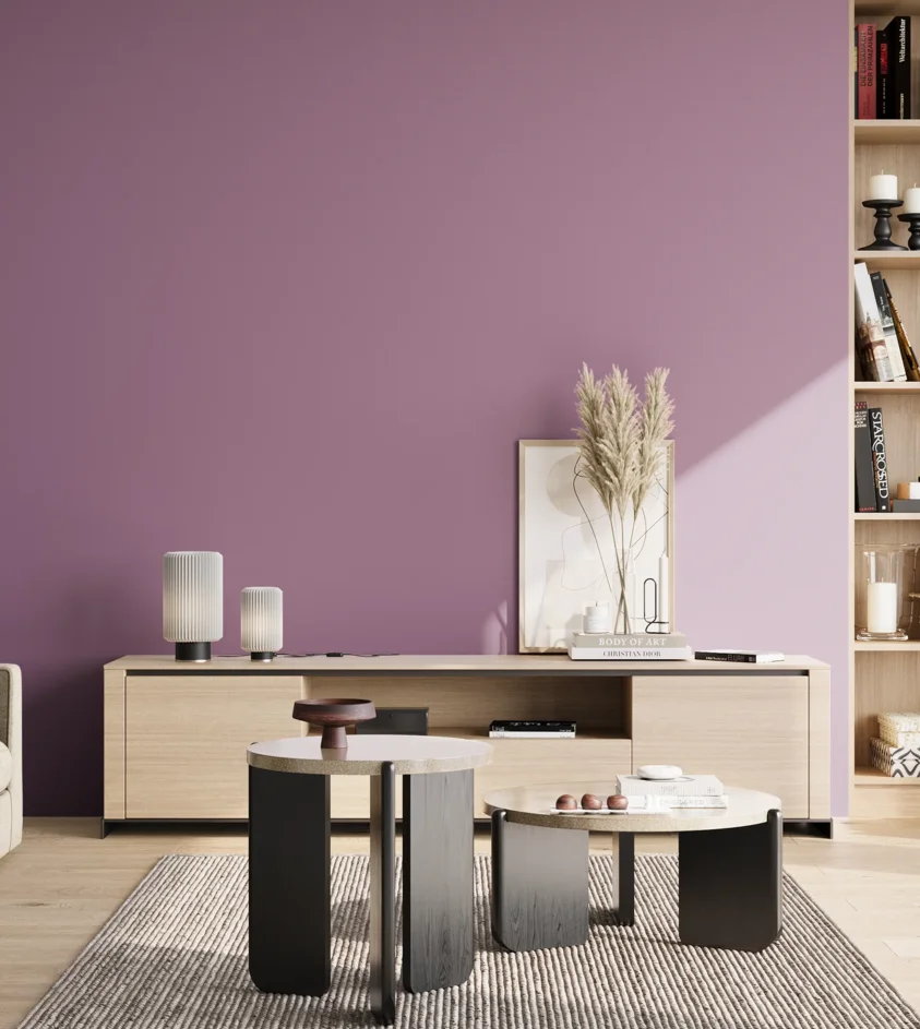P10_SNIEZKA_salon_02_poludnie_GREY_S3030-R40B