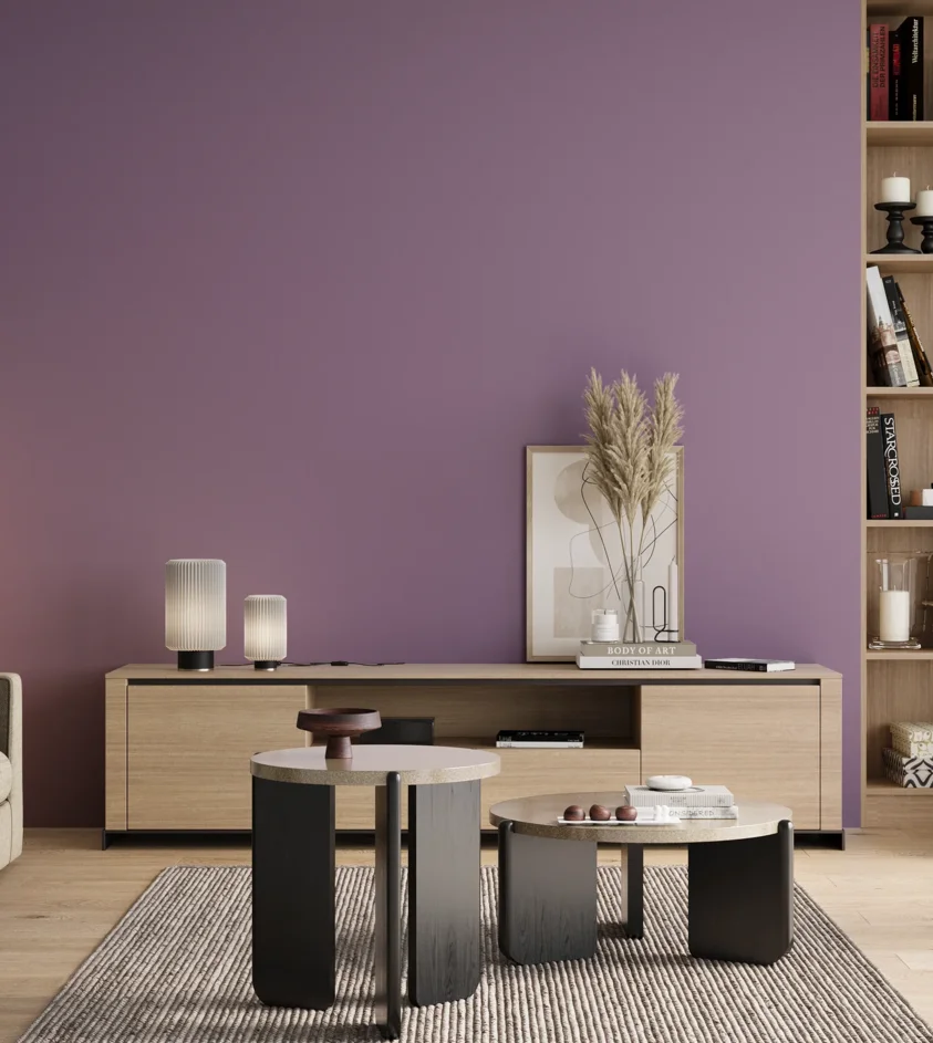 P10_SNIEZKA_salon_00_neutral_GREY_S3030-R50B