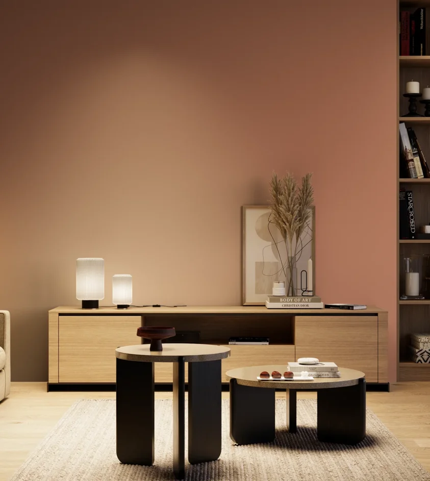 P10_SNIEZKA_salon_04_cieple_GREY_S3030-Y70R