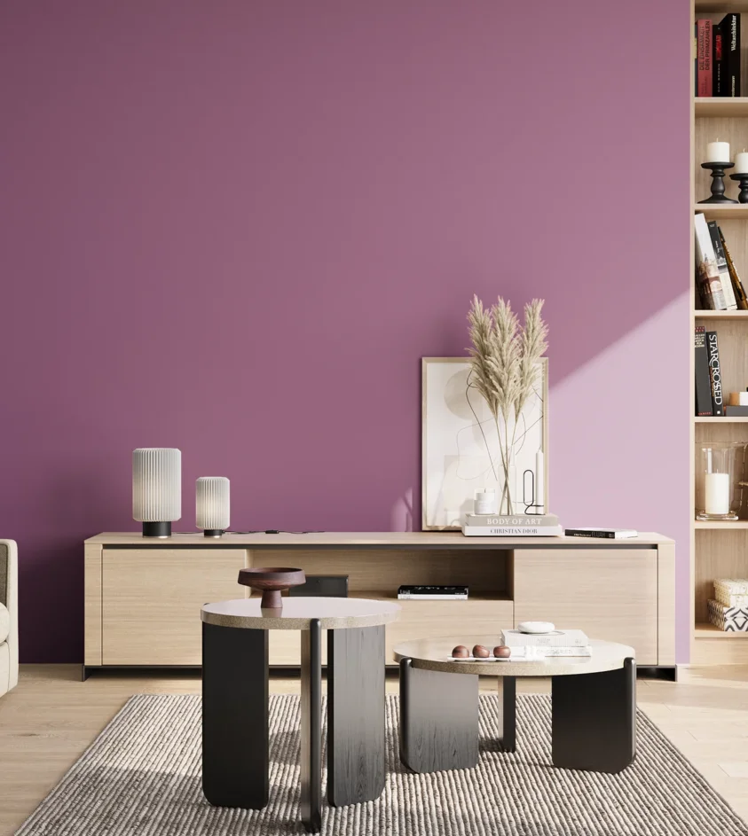 P10_SNIEZKA_salon_02_poludnie_GREY_S3040-R40B