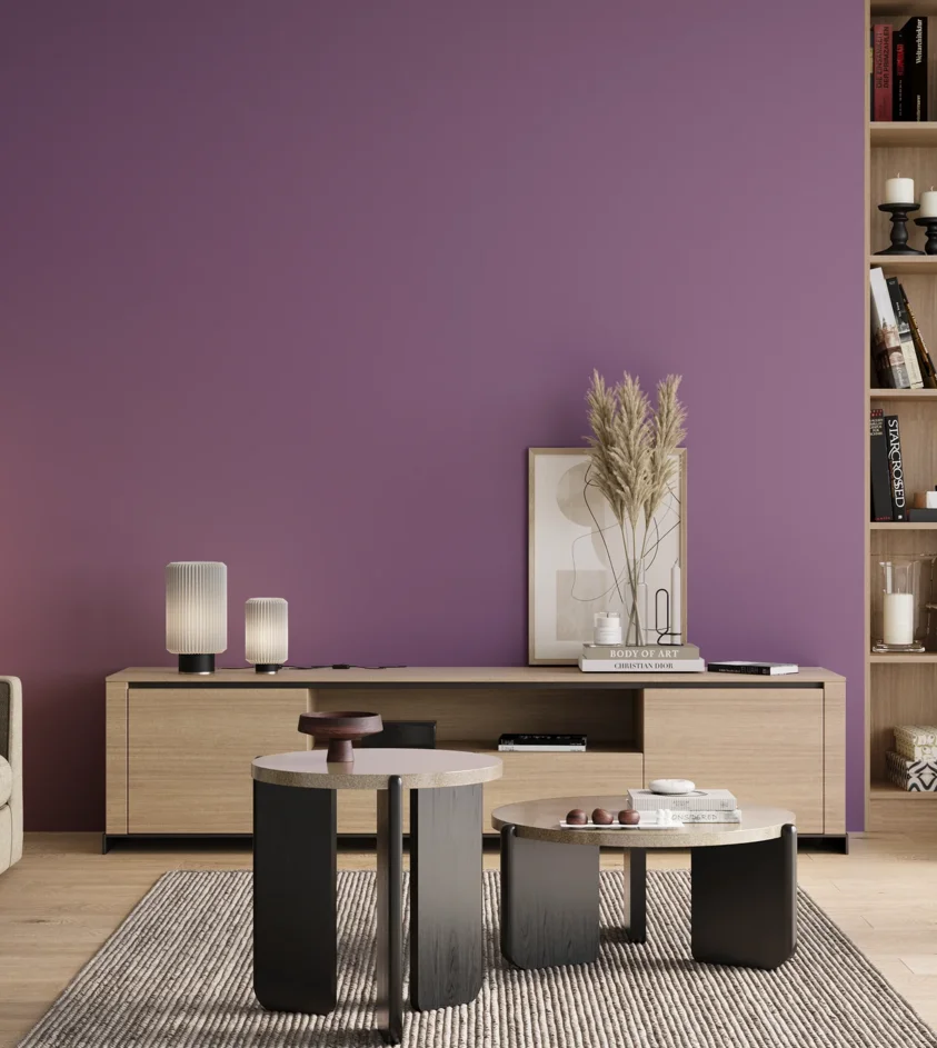 P10_SNIEZKA_salon_00_neutral_GREY_S3040-R50B