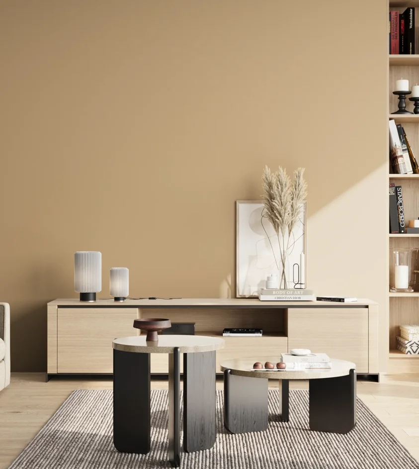 P10_SNIEZKA_salon_02_poludnie_GREY_MP23