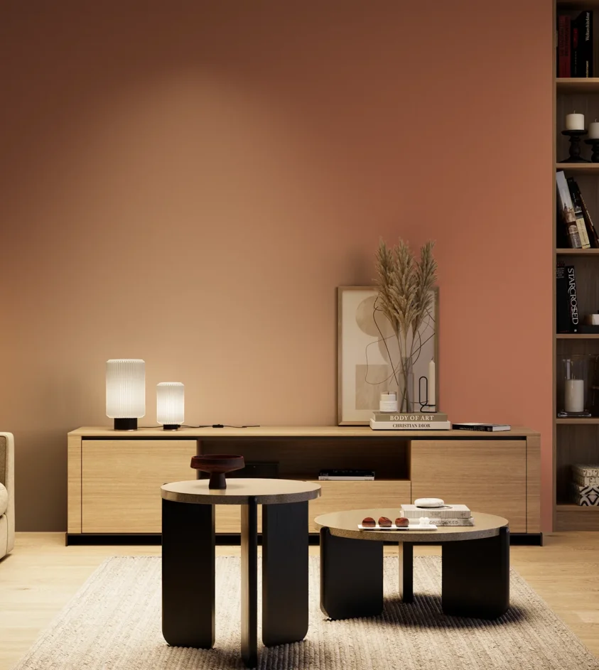 P10_SNIEZKA_salon_04_cieple_GREY_S3040-Y70R