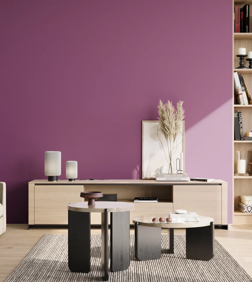 P10_SNIEZKA_salon_02_poludnie_GREY_S3050-R40B