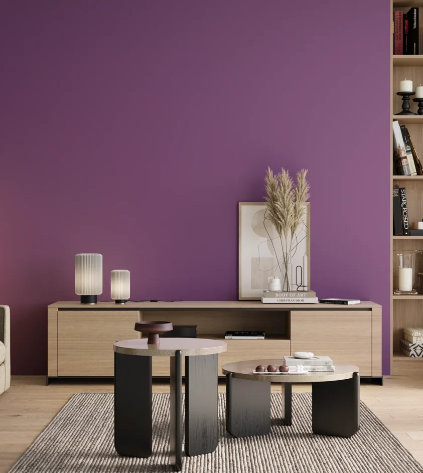 P10_SNIEZKA_salon_00_neutral_GREY_S3050-R50B