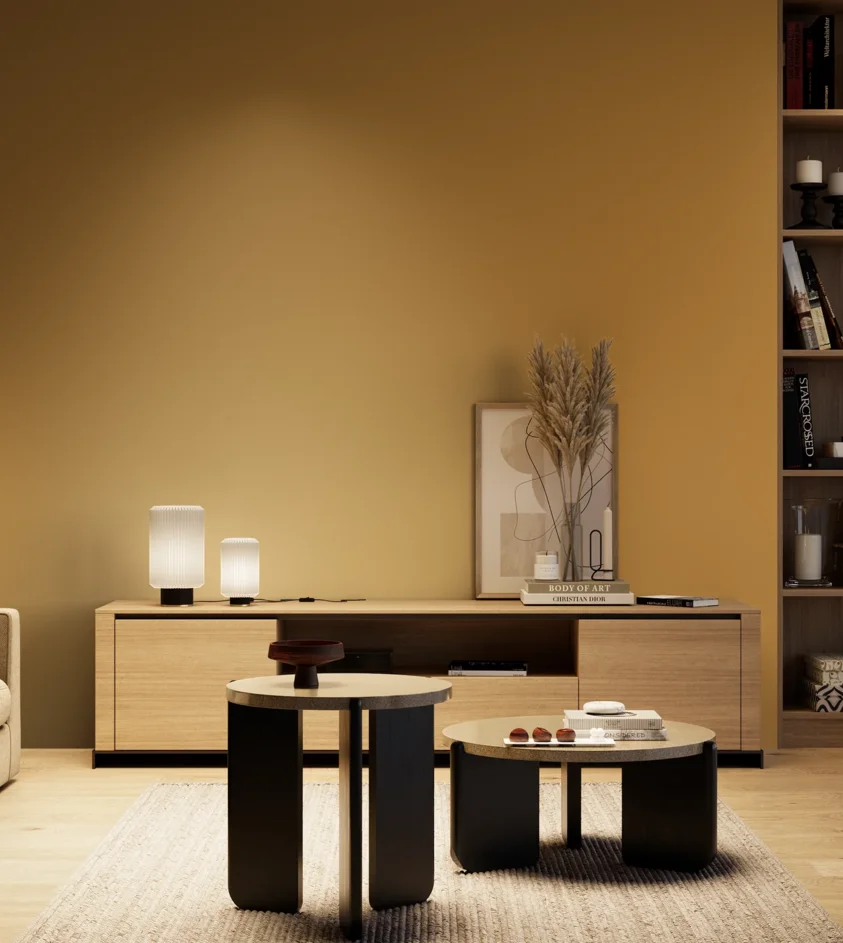 P10_SNIEZKA_salon_04_cieple_GREY_S3050-Y20R