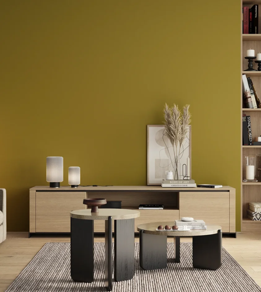 P10_SNIEZKA_salon_00_neutral_GREY_S3060-G90Y