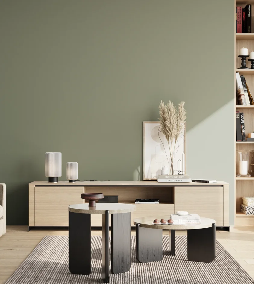 P10_SNIEZKA_salon_02_poludnie_GREY_S4010-G30Y