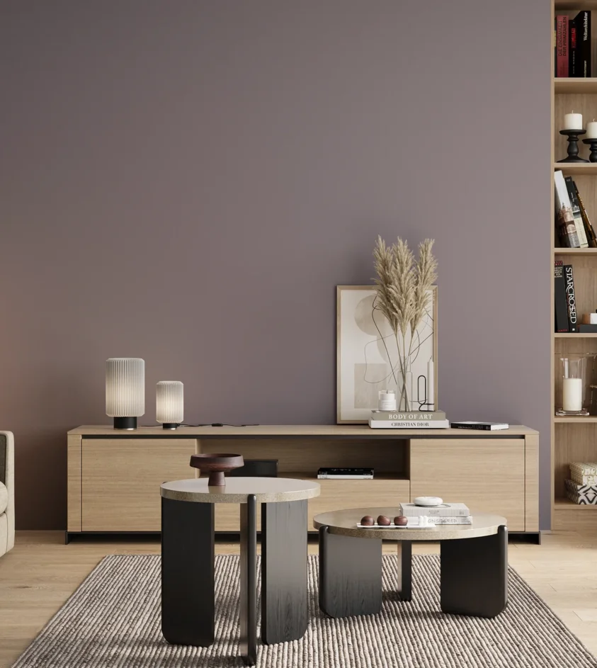 P10_SNIEZKA_salon_00_neutral_GREY_S4010-R50B