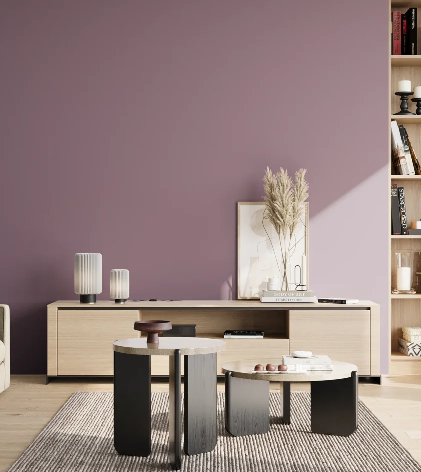 P10_SNIEZKA_salon_02_poludnie_GREY_S4020-R40B
