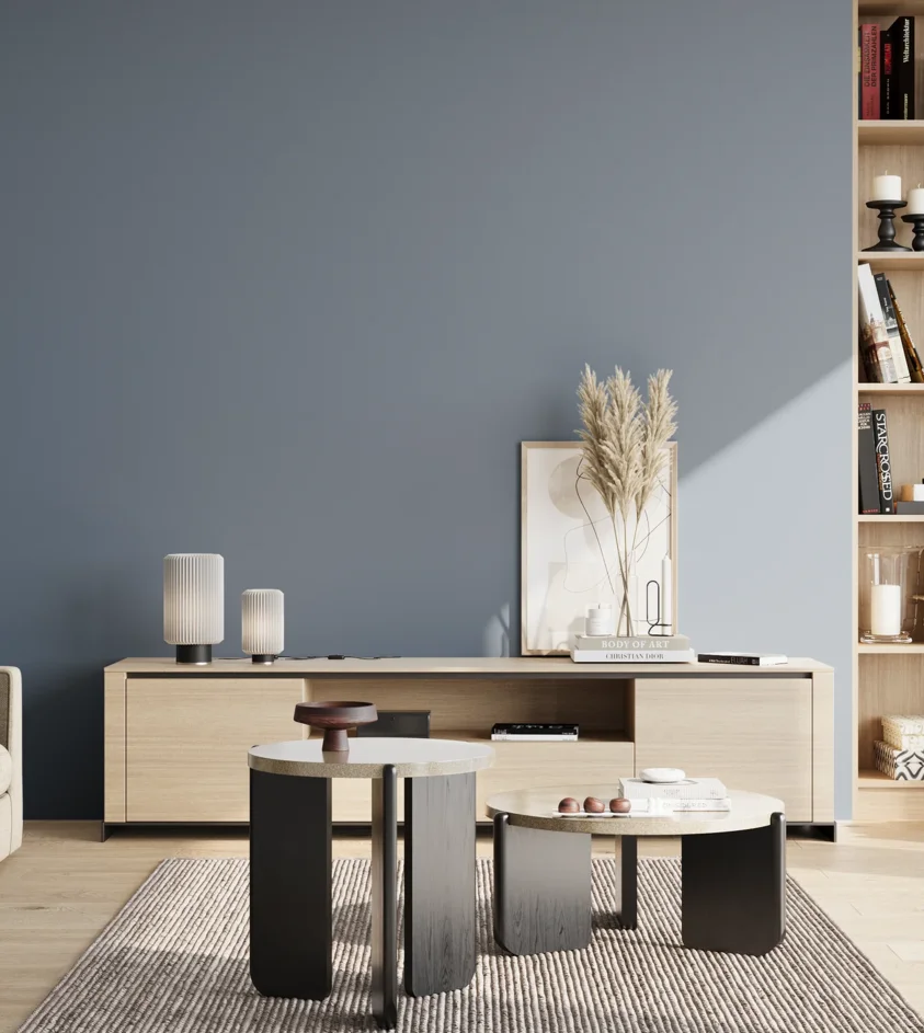 P10_SNIEZKA_salon_02_poludnie_GREY_S4020-R90B