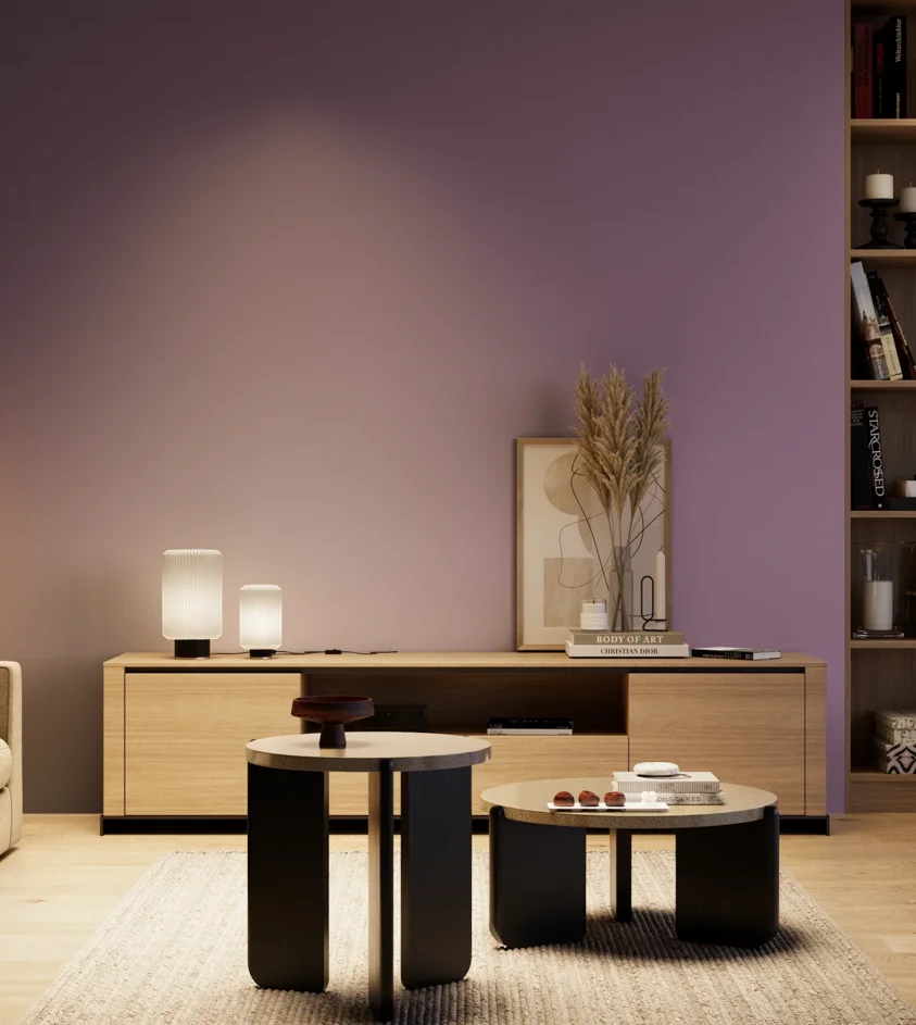 P10_SNIEZKA_salon_04_cieple_GREY_S4030-R50B