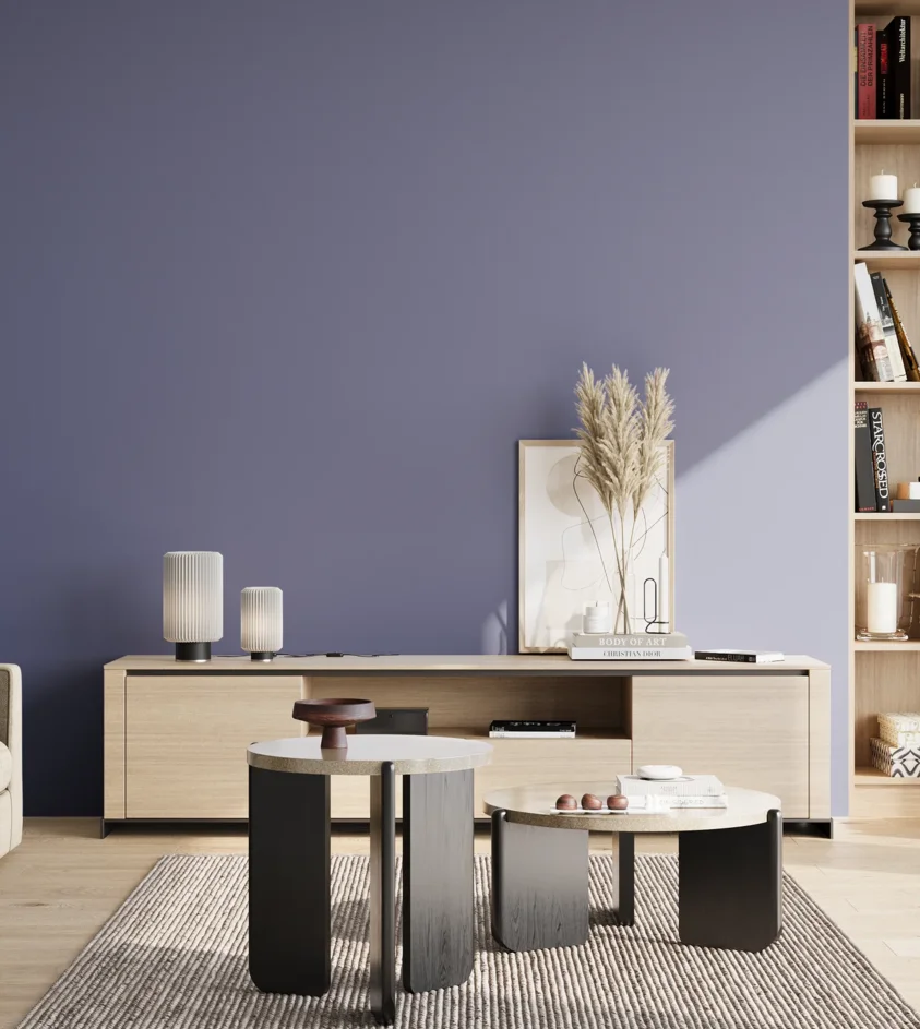 P10_SNIEZKA_salon_02_poludnie_GREY_S4030-R70B