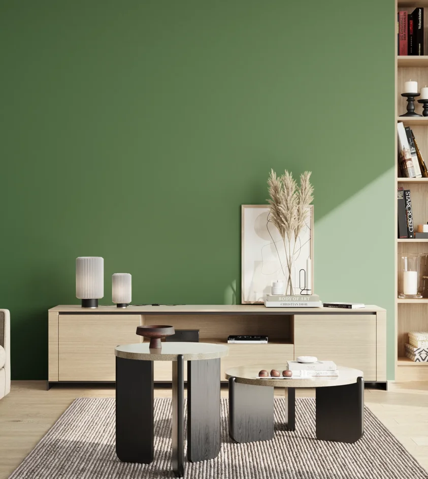 P10_SNIEZKA_salon_02_poludnie_GREY_S4040-G20Y