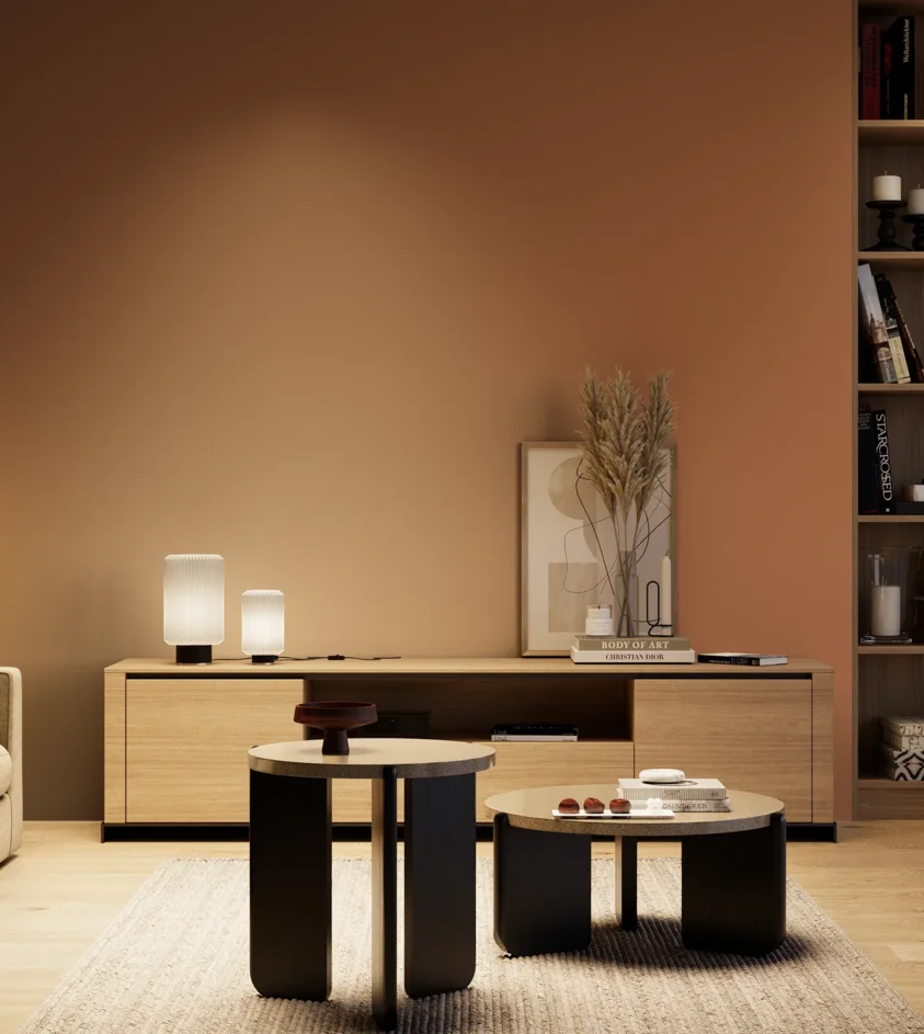P10_SNIEZKA_salon_04_cieple_GREY_S4040-Y50R
