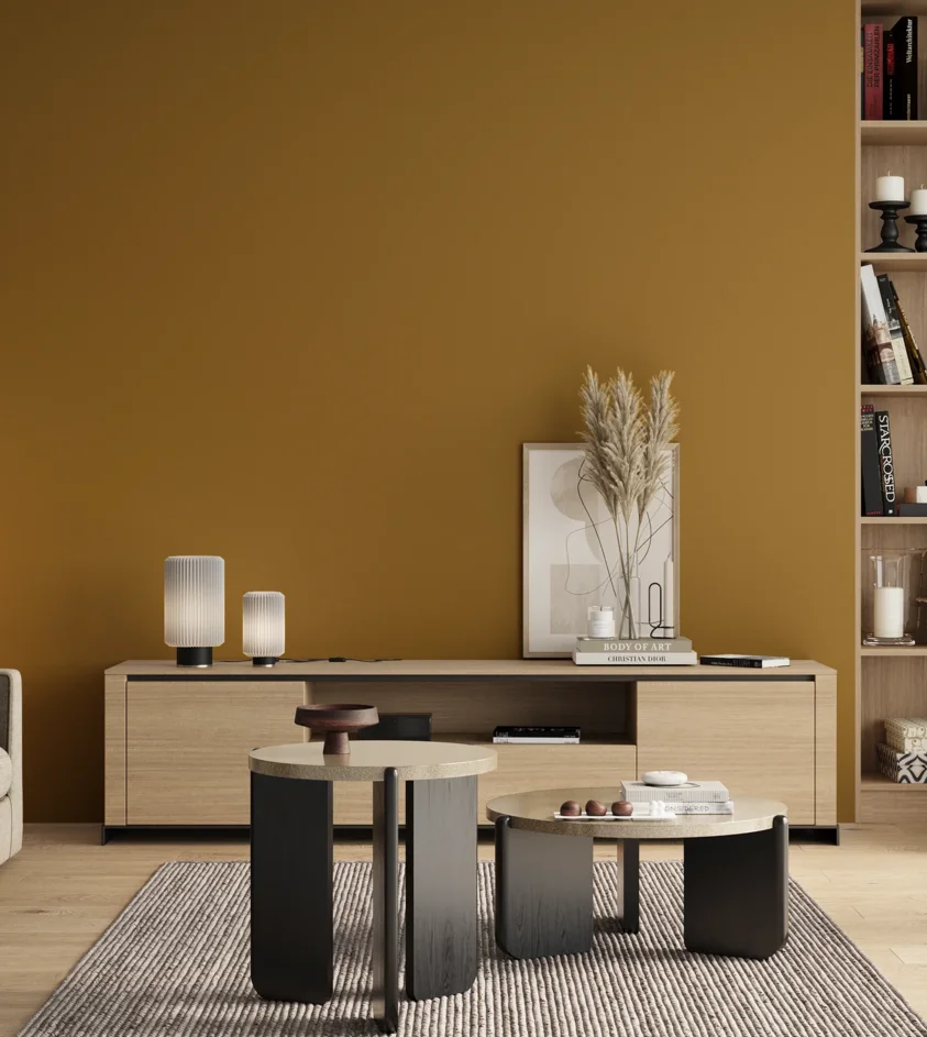 P10_SNIEZKA_salon_00_neutral_GREY_S4055-Y10R