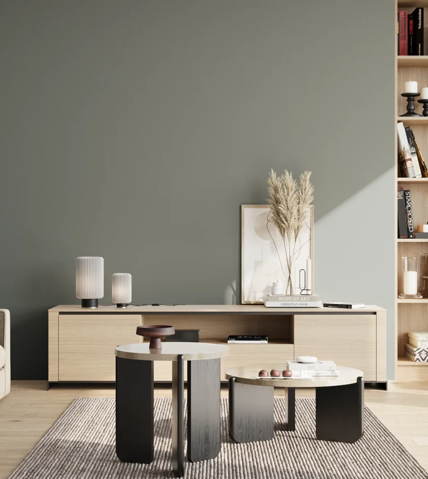 P10_SNIEZKA_salon_02_poludnie_GREY_S5005-B80G