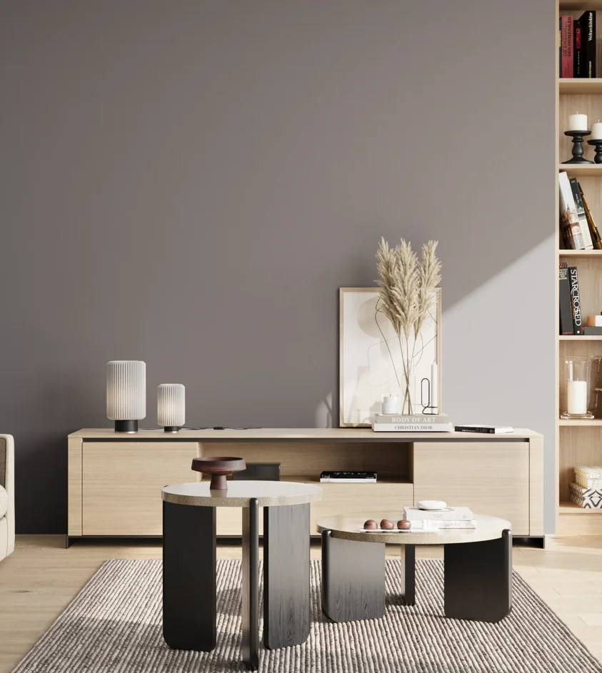 P10_SNIEZKA_salon_02_poludnie_GREY_S5005-R50B