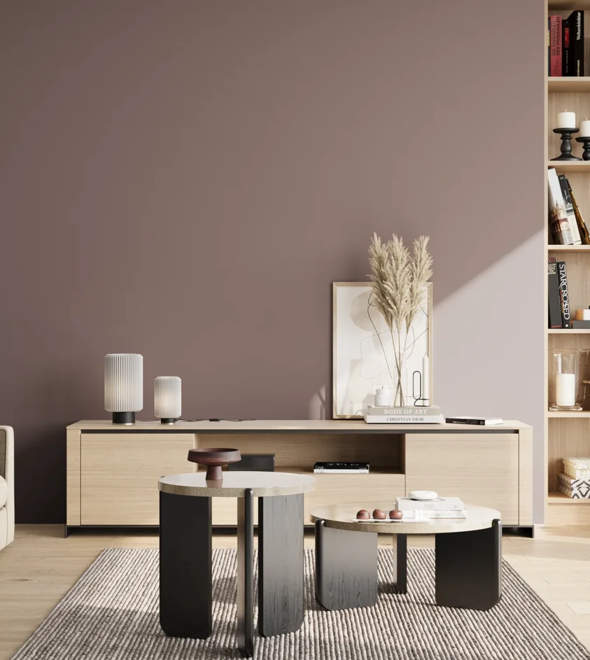 P10_SNIEZKA_salon_02_poludnie_GREY_S5010-R10B