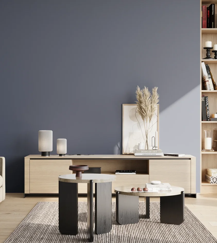 P10_SNIEZKA_salon_02_poludnie_GREY_S5020-R80B