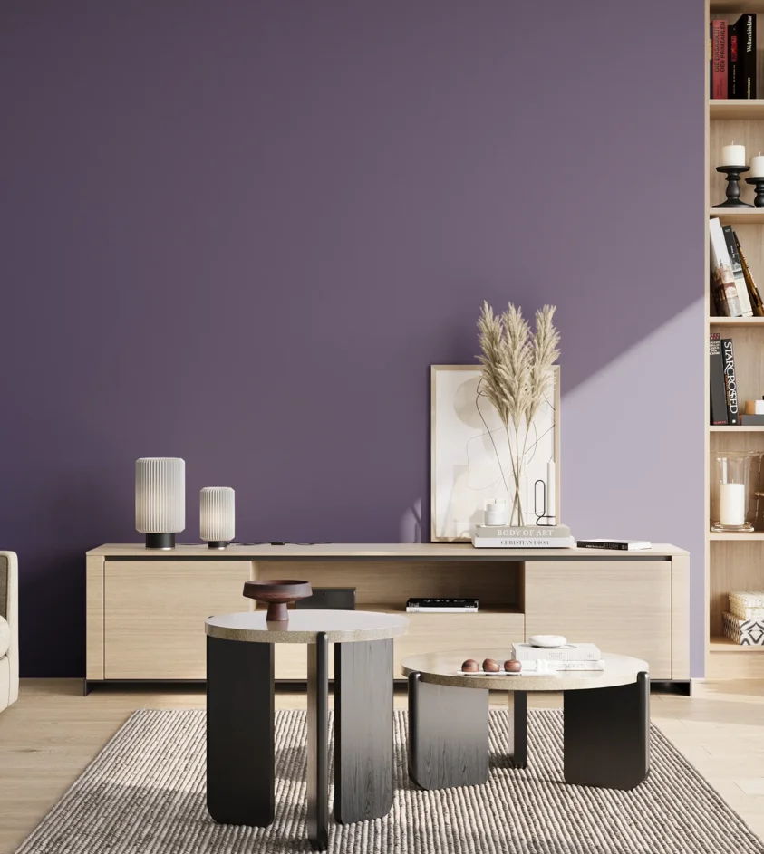 P10_SNIEZKA_salon_02_poludnie_GREY_S5030-R60B